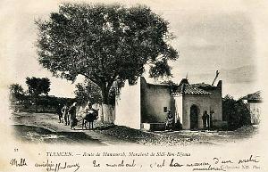 Tlemcen 215